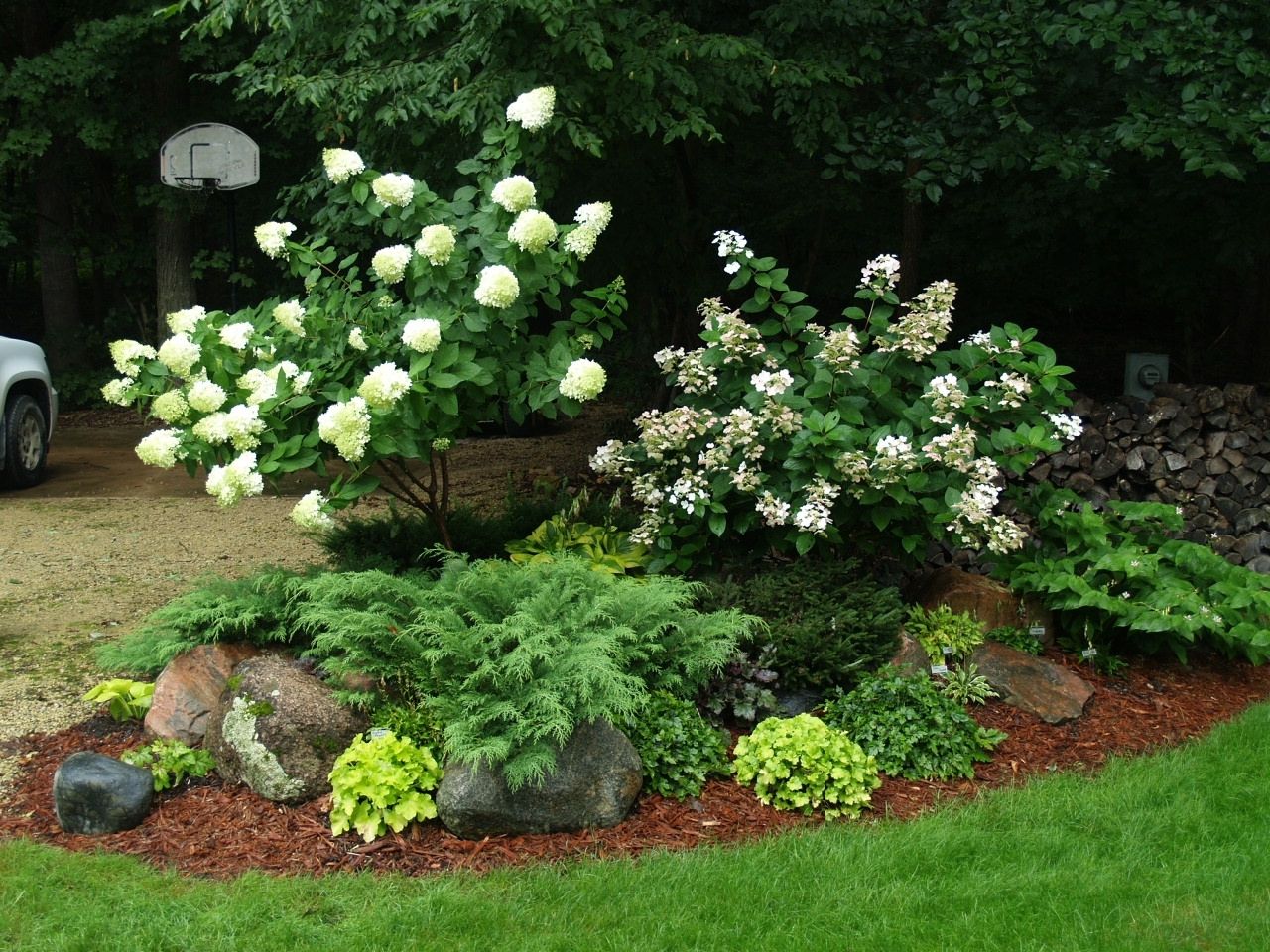 How to Create Stunning Garden Combinations With Hydrangeas and Perennials