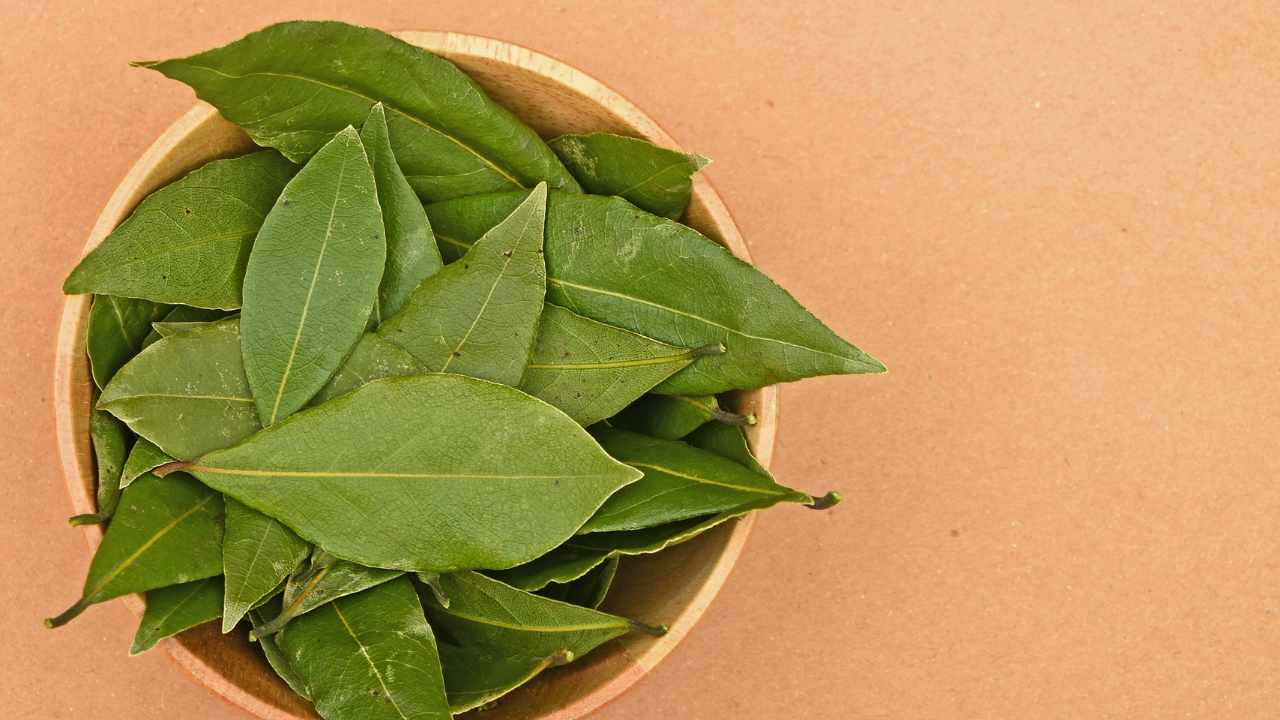 How to Achieve Delicious Flavors with Bay Leaf Alternatives