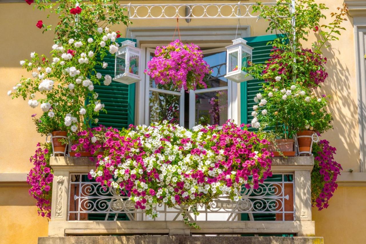 Best Hanging Plants for Your Balcony Garden: A Guide to Vertical Greenery